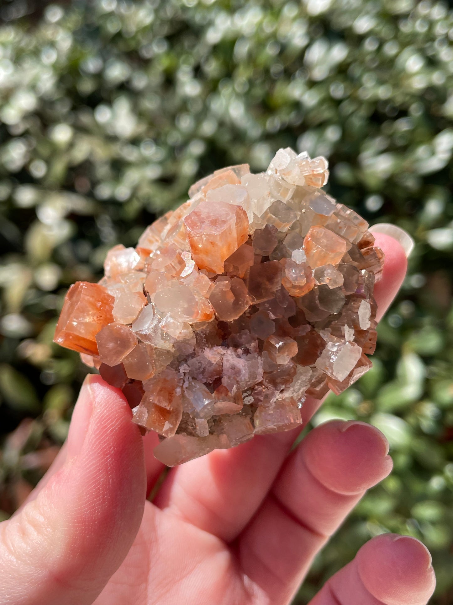 Aragonite Two Tone Crystal Cluster