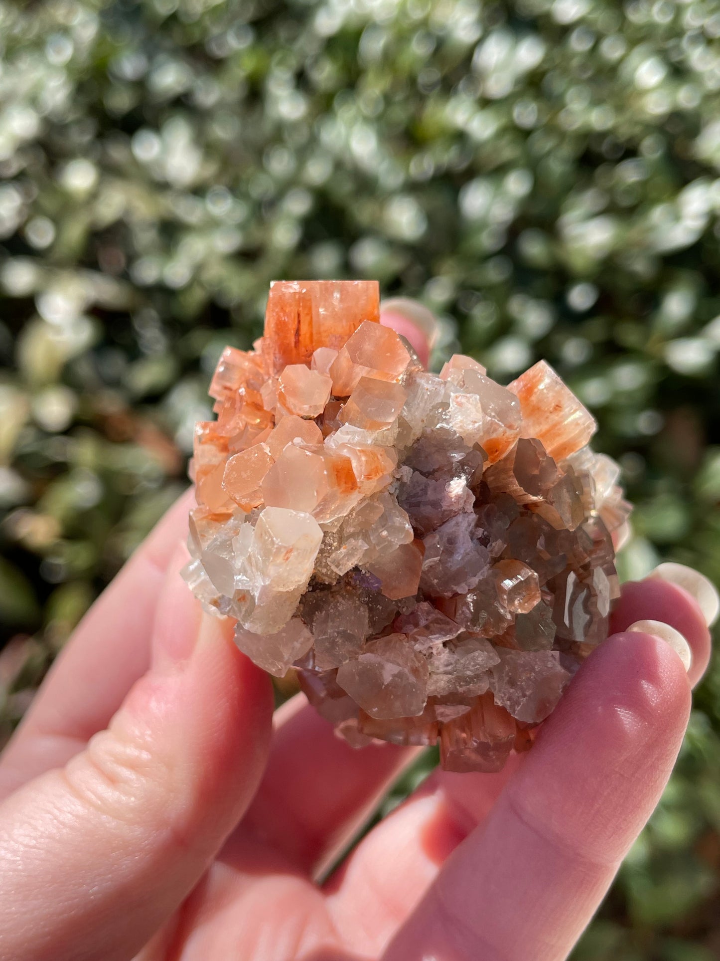 Aragonite Two Tone Crystal Cluster