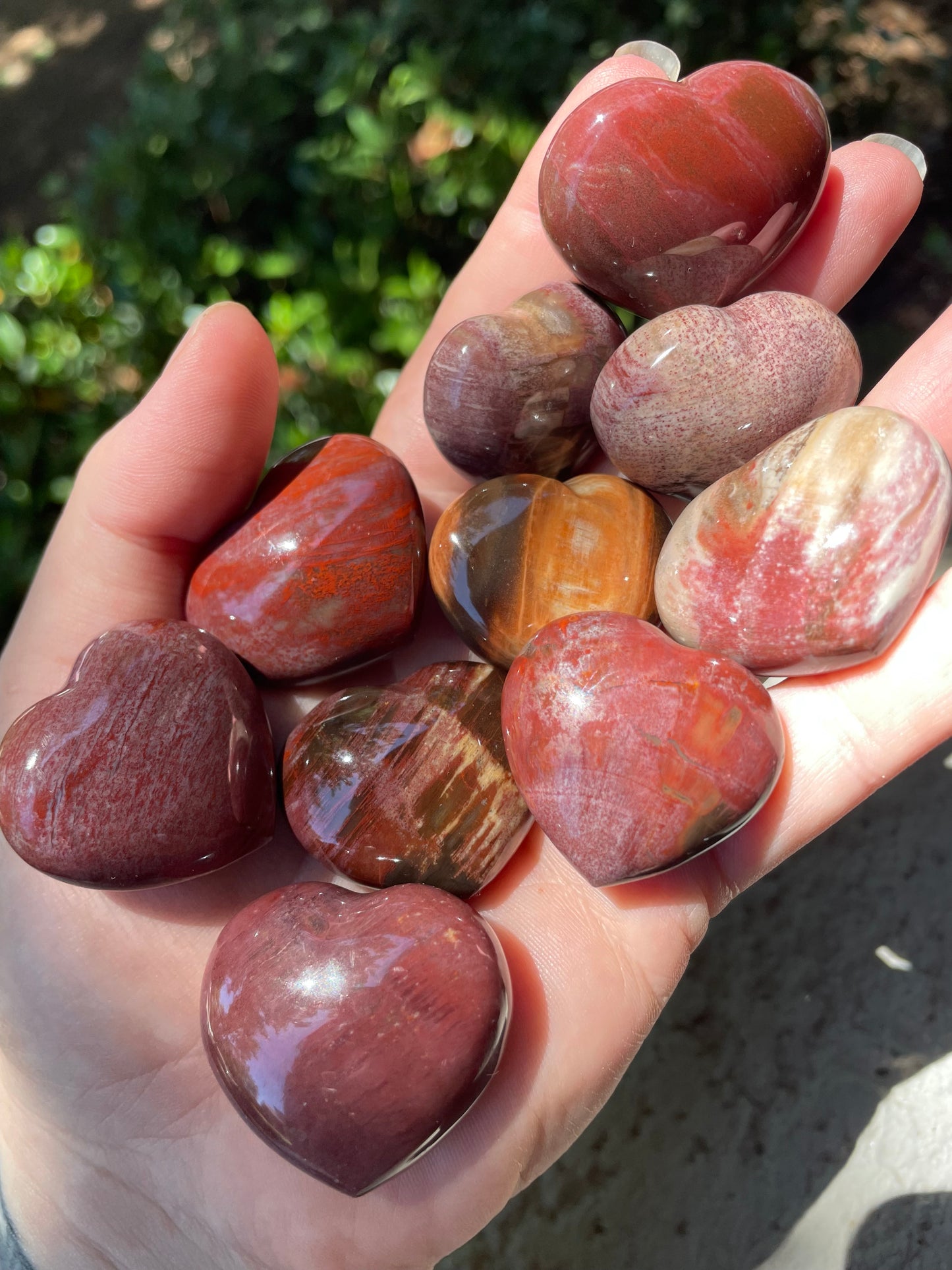 Petrified Wood Hearts