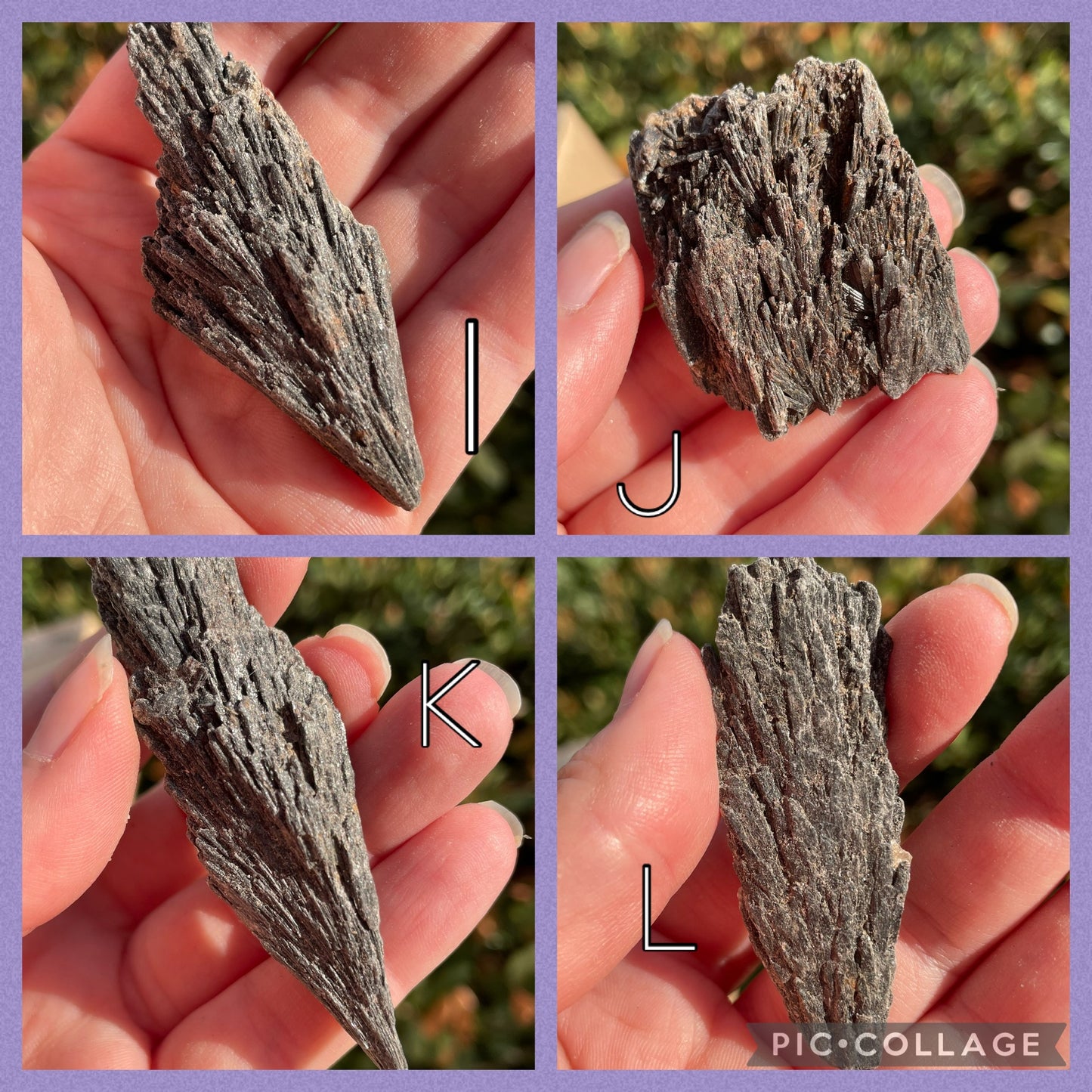 Black Kyanite Fans