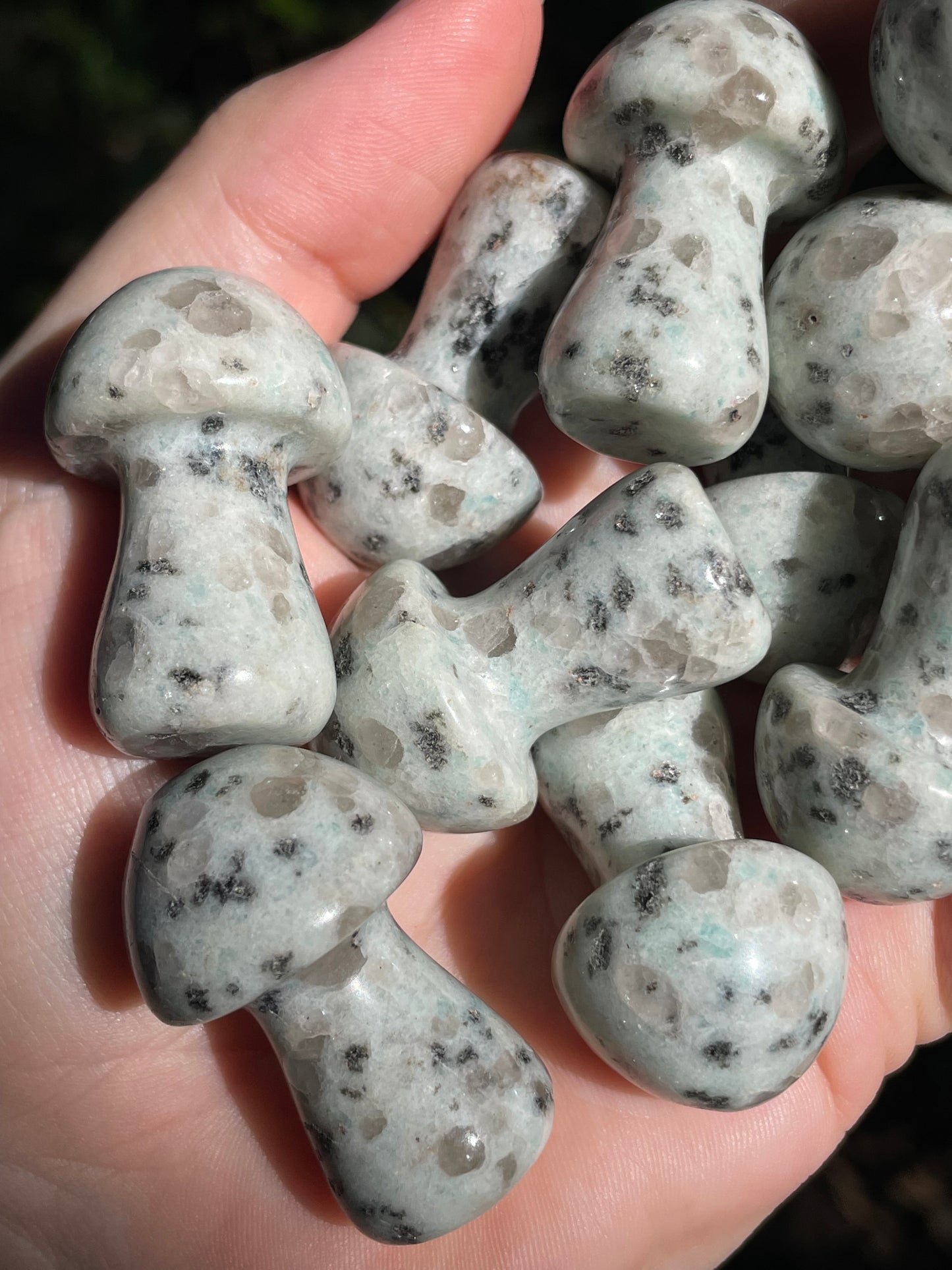 Kiwi Jasper Crystal Mushroom Carvings