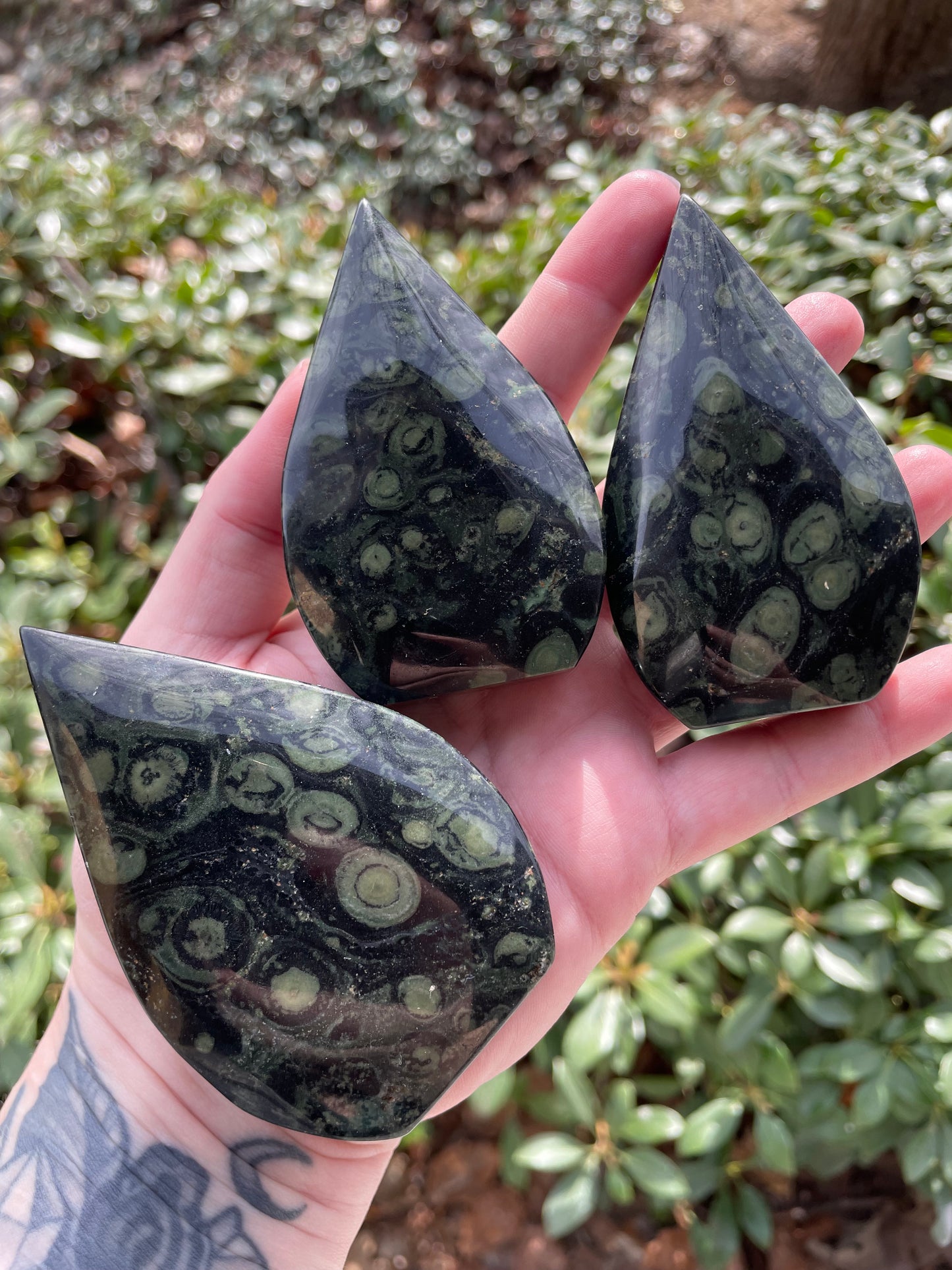 Kambaba Jasper Arrowhead Self Standing Stones