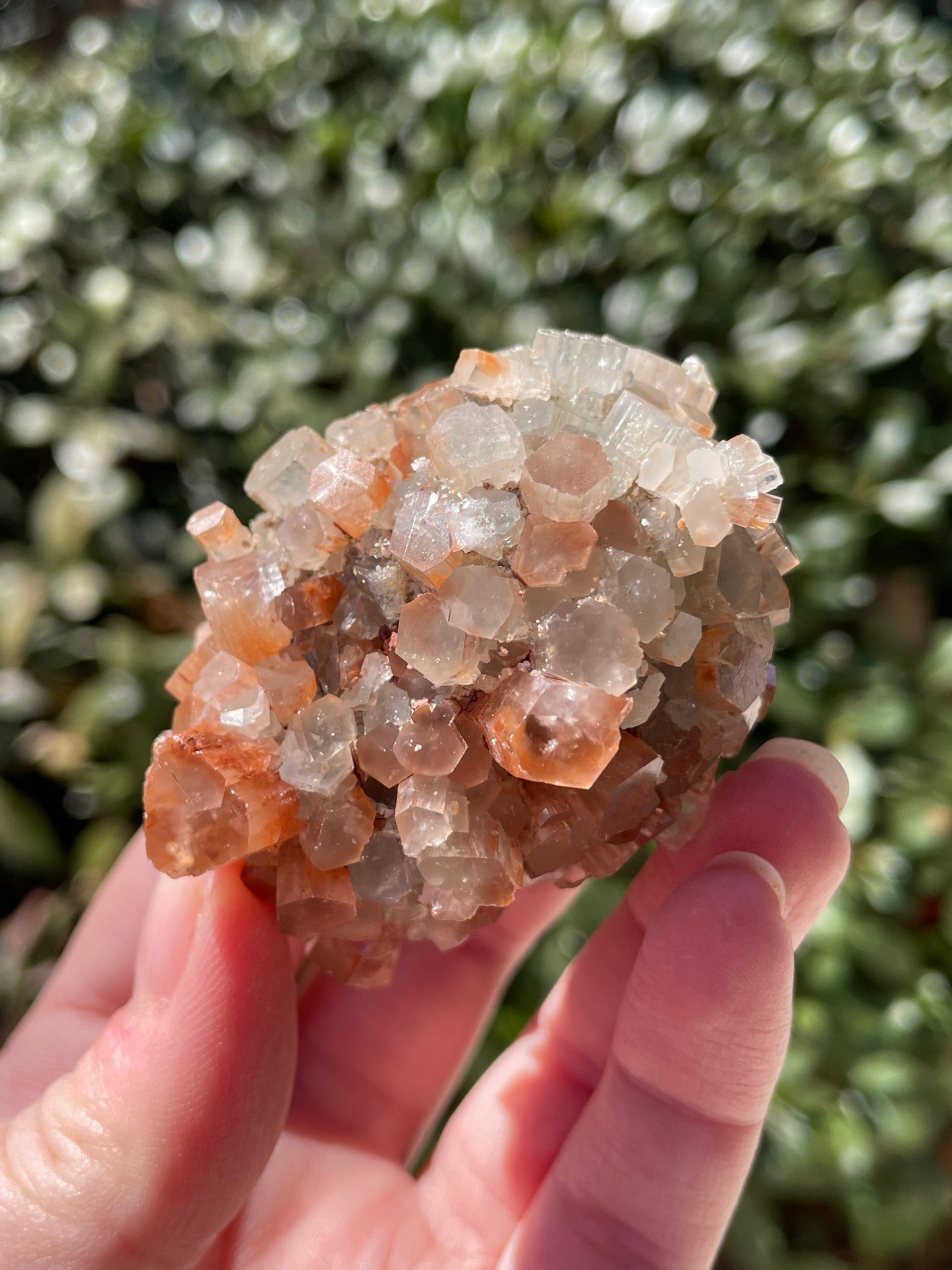 Aragonite Two Tone Crystal Cluster