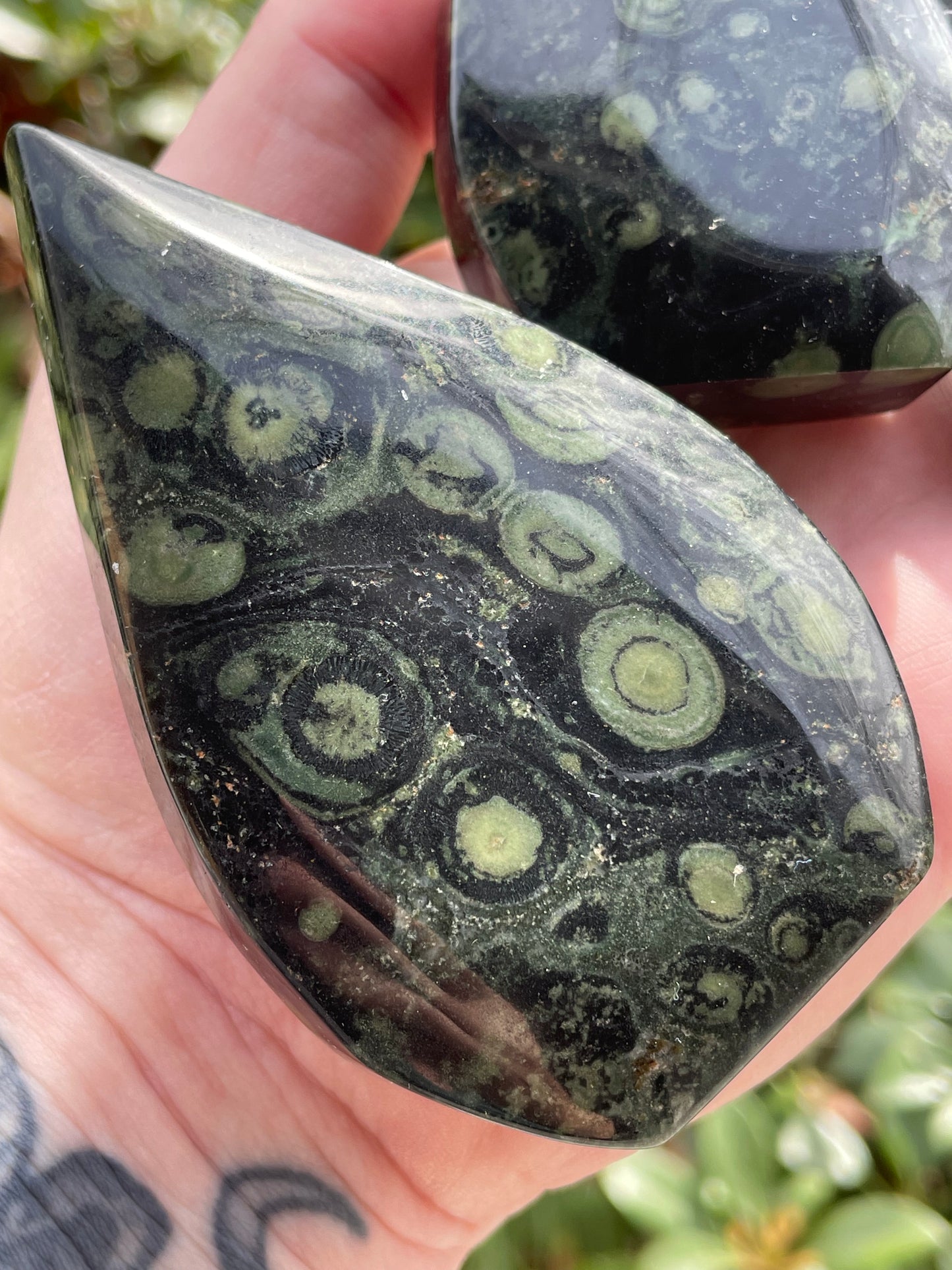 Kambaba Jasper Arrowhead Self Standing Stones
