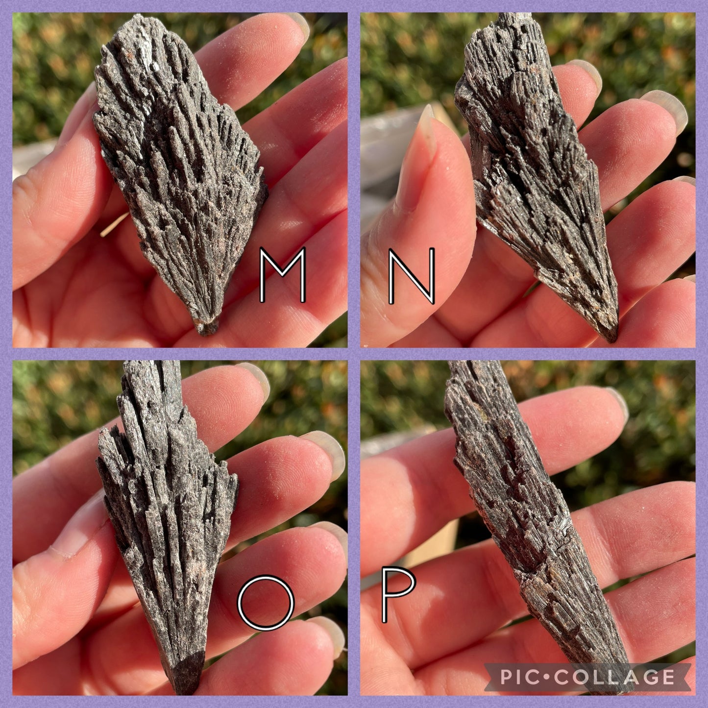 Black Kyanite Fans