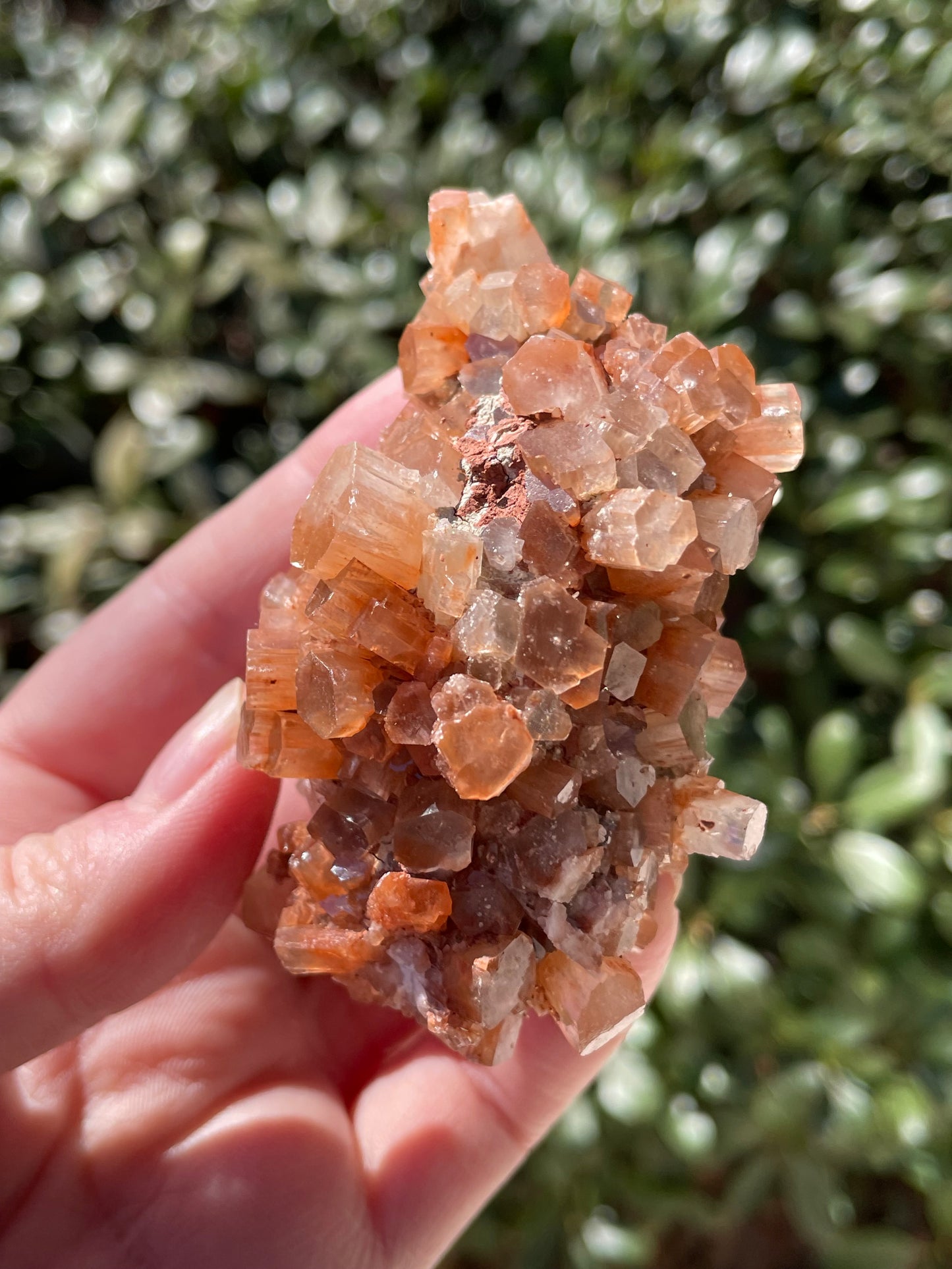 Aragonite Star Crystal Cluster