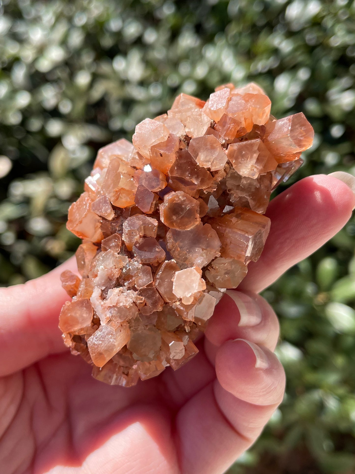 Aragonite Star Crystal Cluster