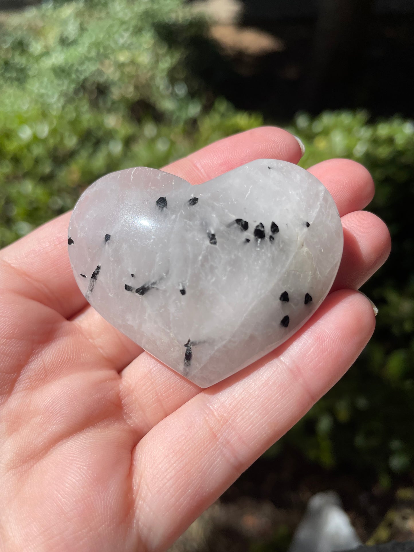 Black Tourmaline in Quartz Heart Crystal Carvings