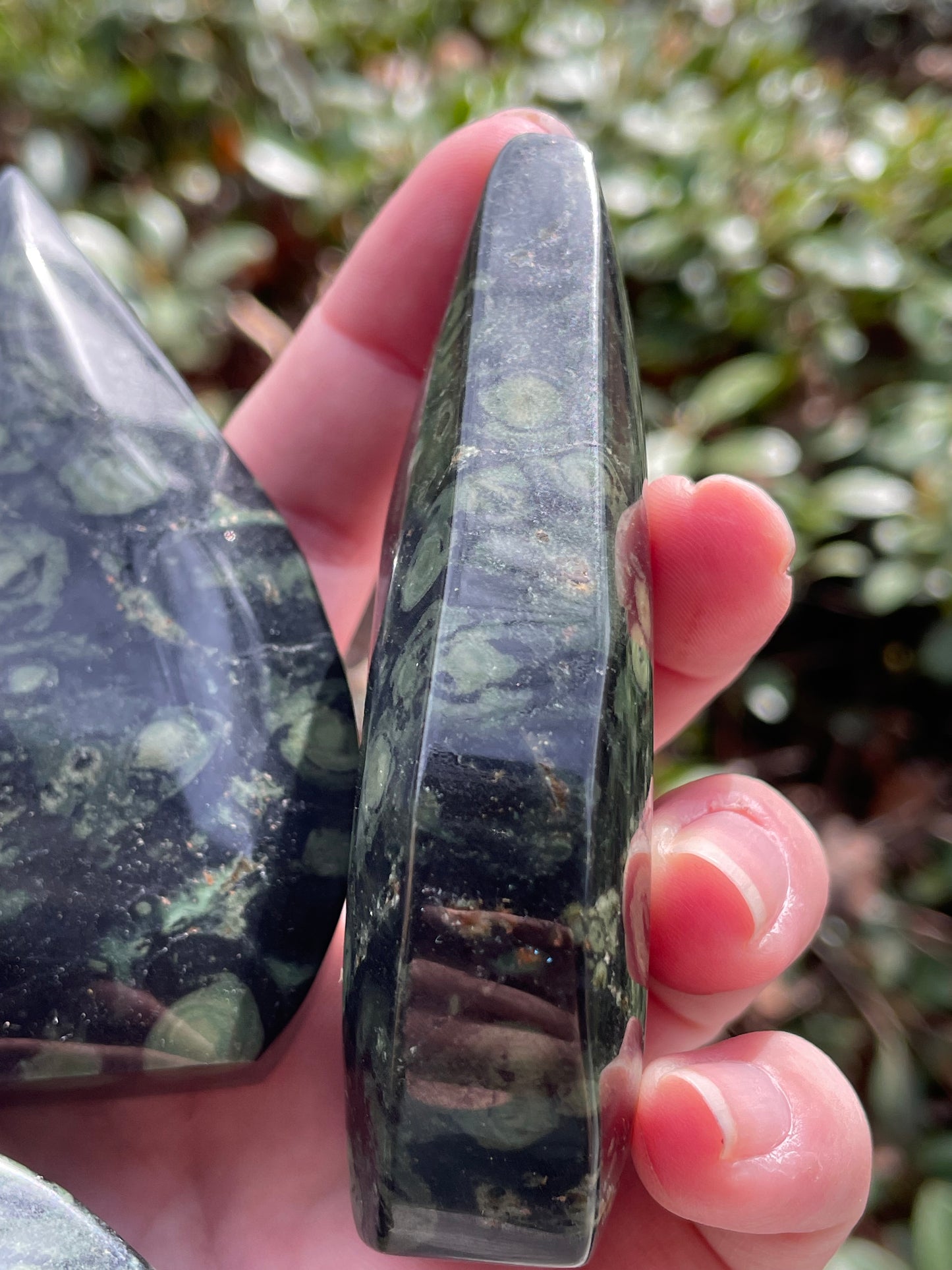 Kambaba Jasper Arrowhead Self Standing Stones