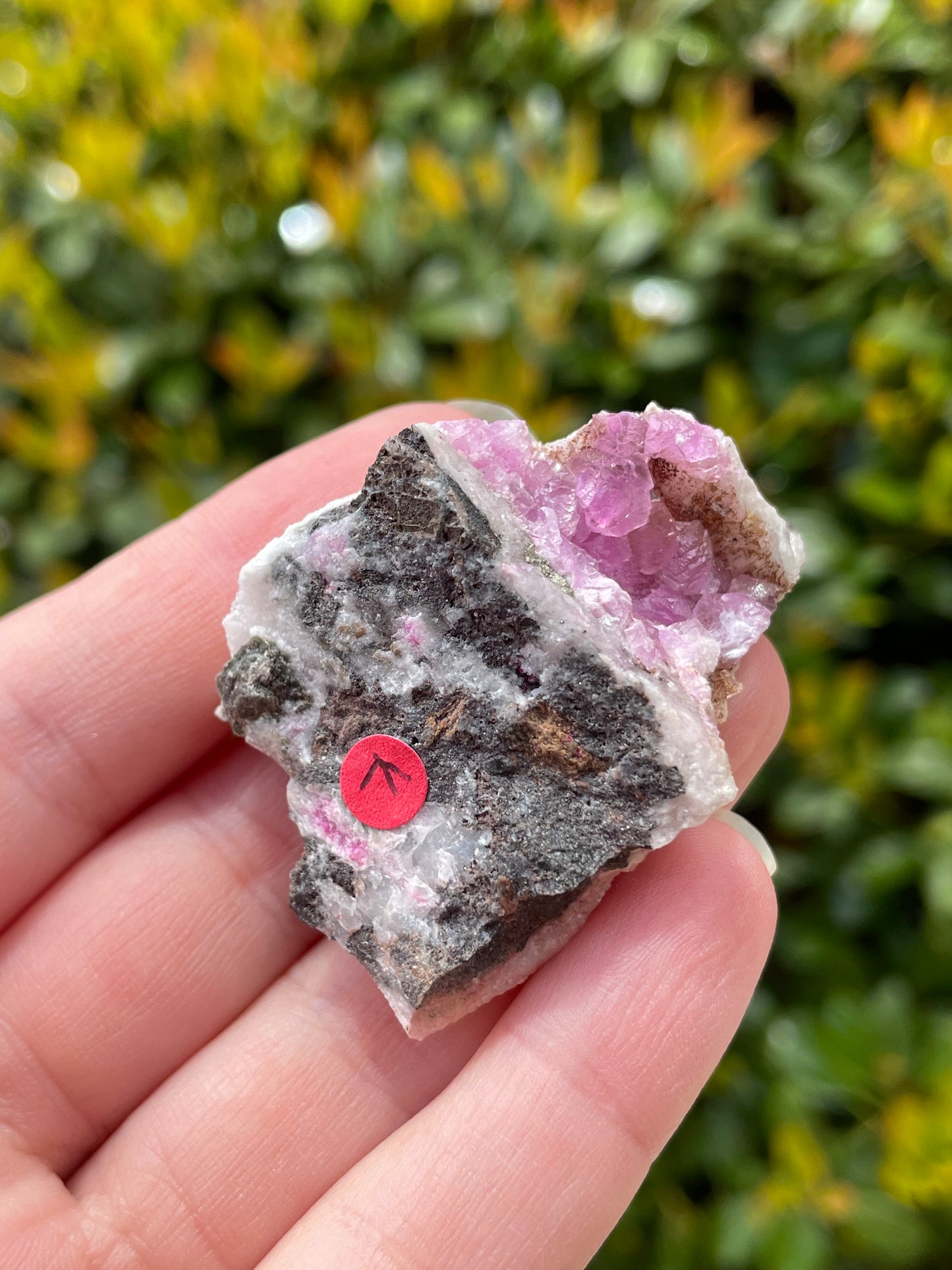 Cobaltoan Calcite Crystal Cluster
