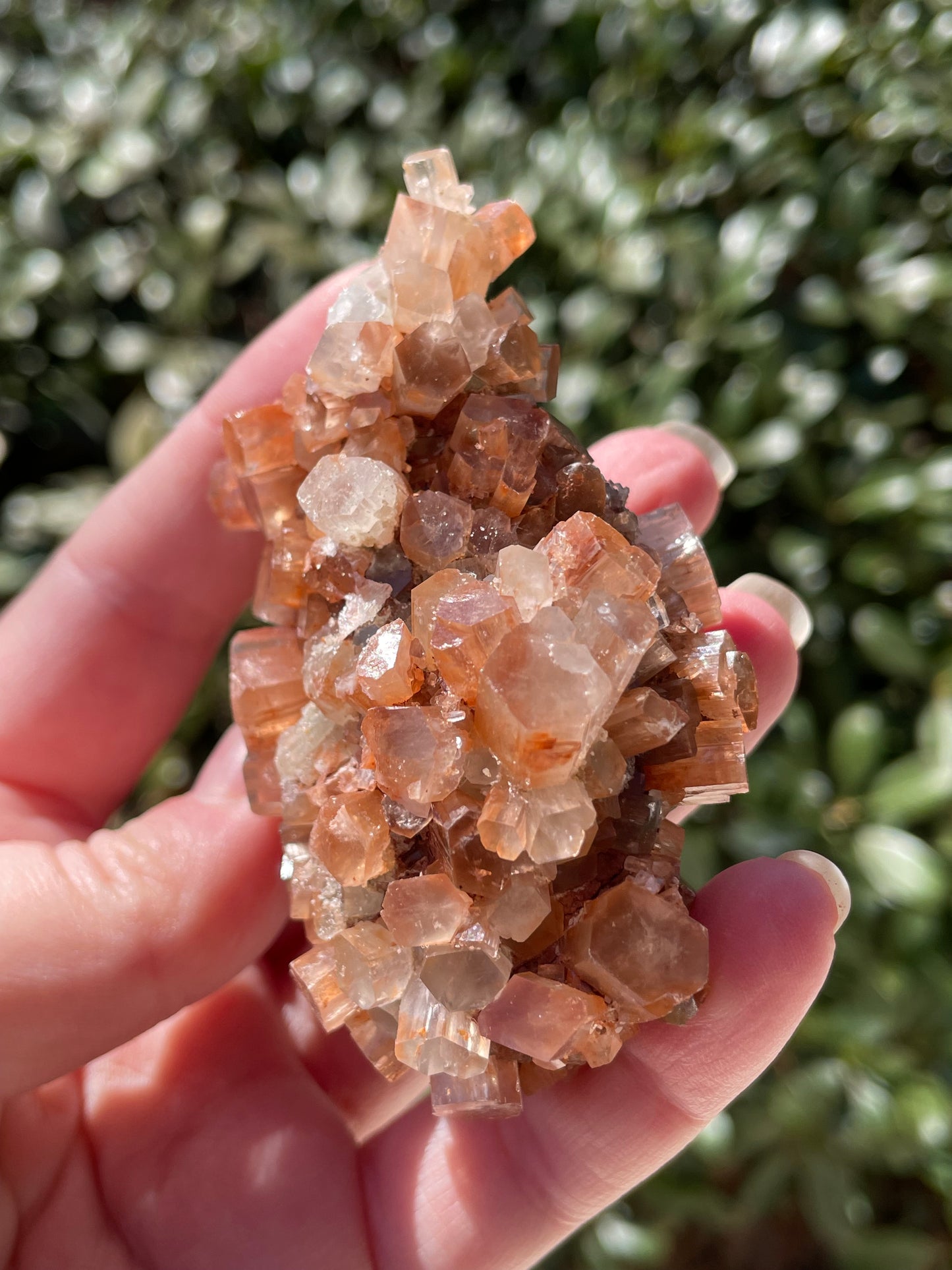 Aragonite Star Crystal Cluster
