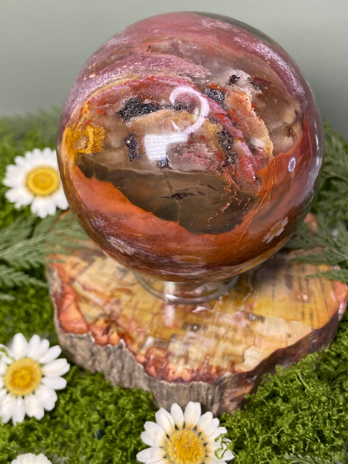 Petrified Wood Sphere