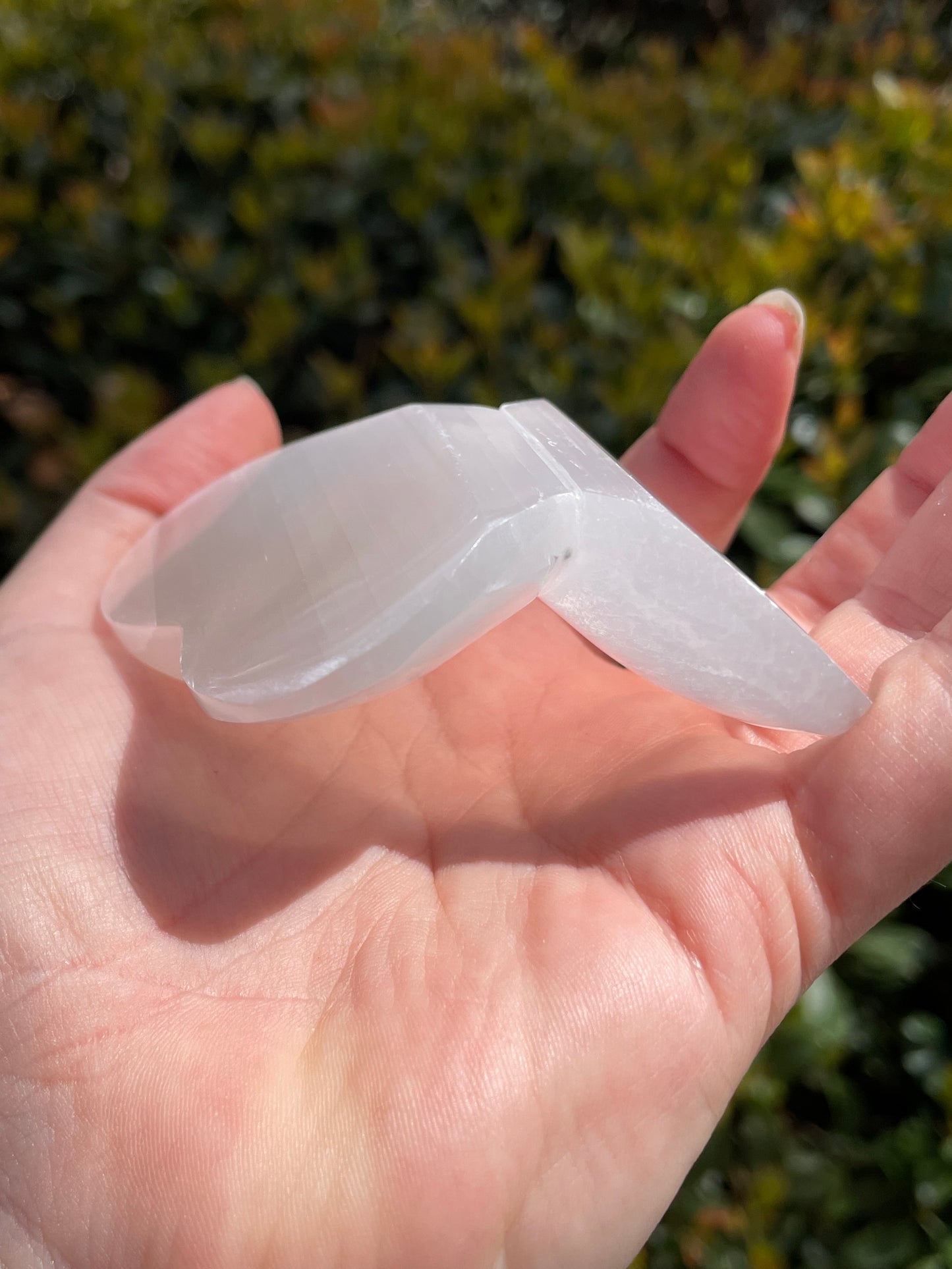 Satin Spar Selenite Butterfly Carvings