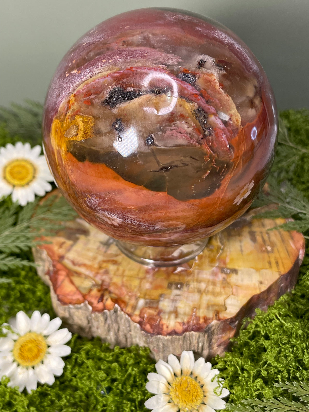 Petrified Wood Sphere