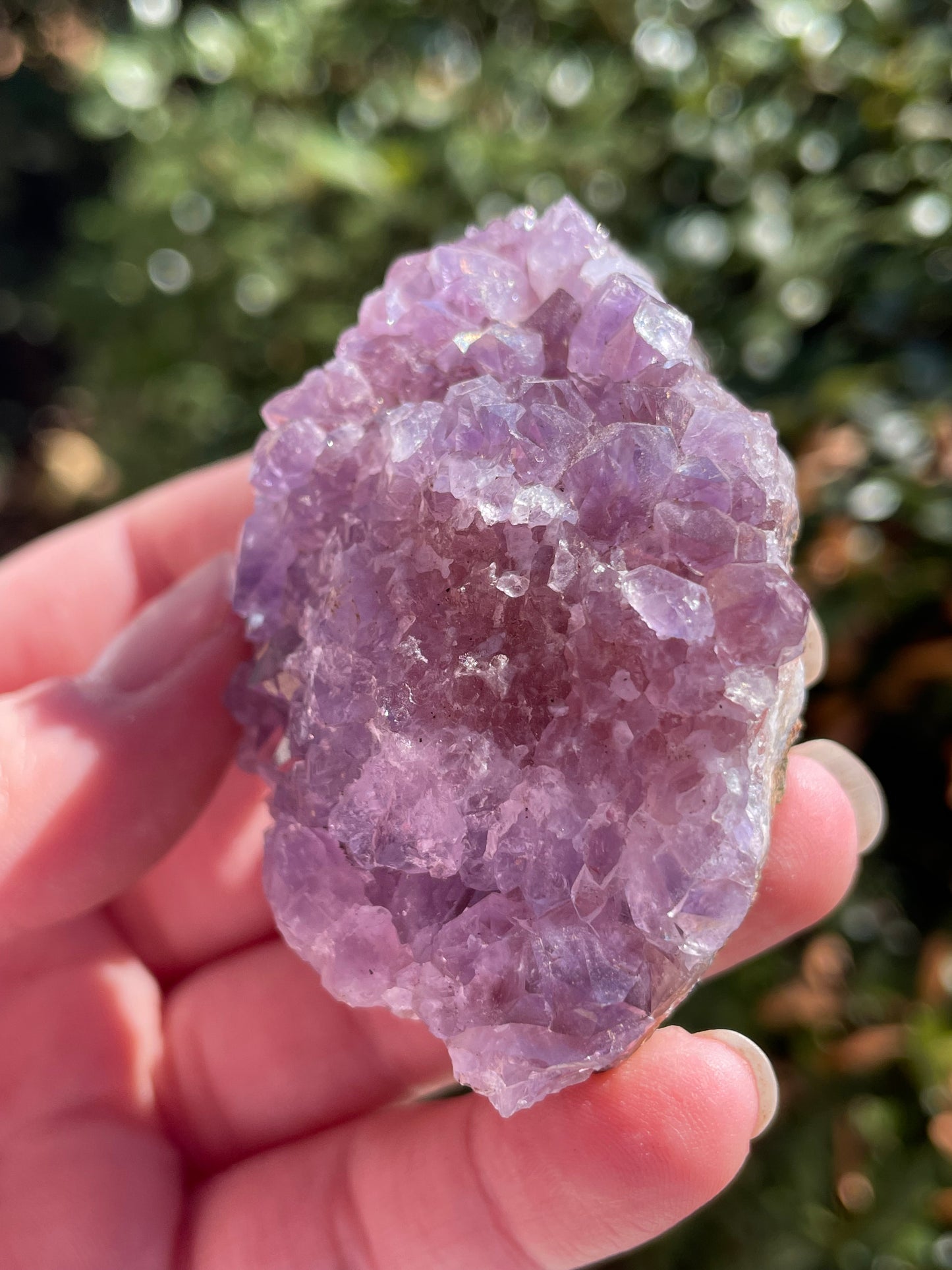 Amethyst Crystal Cluster