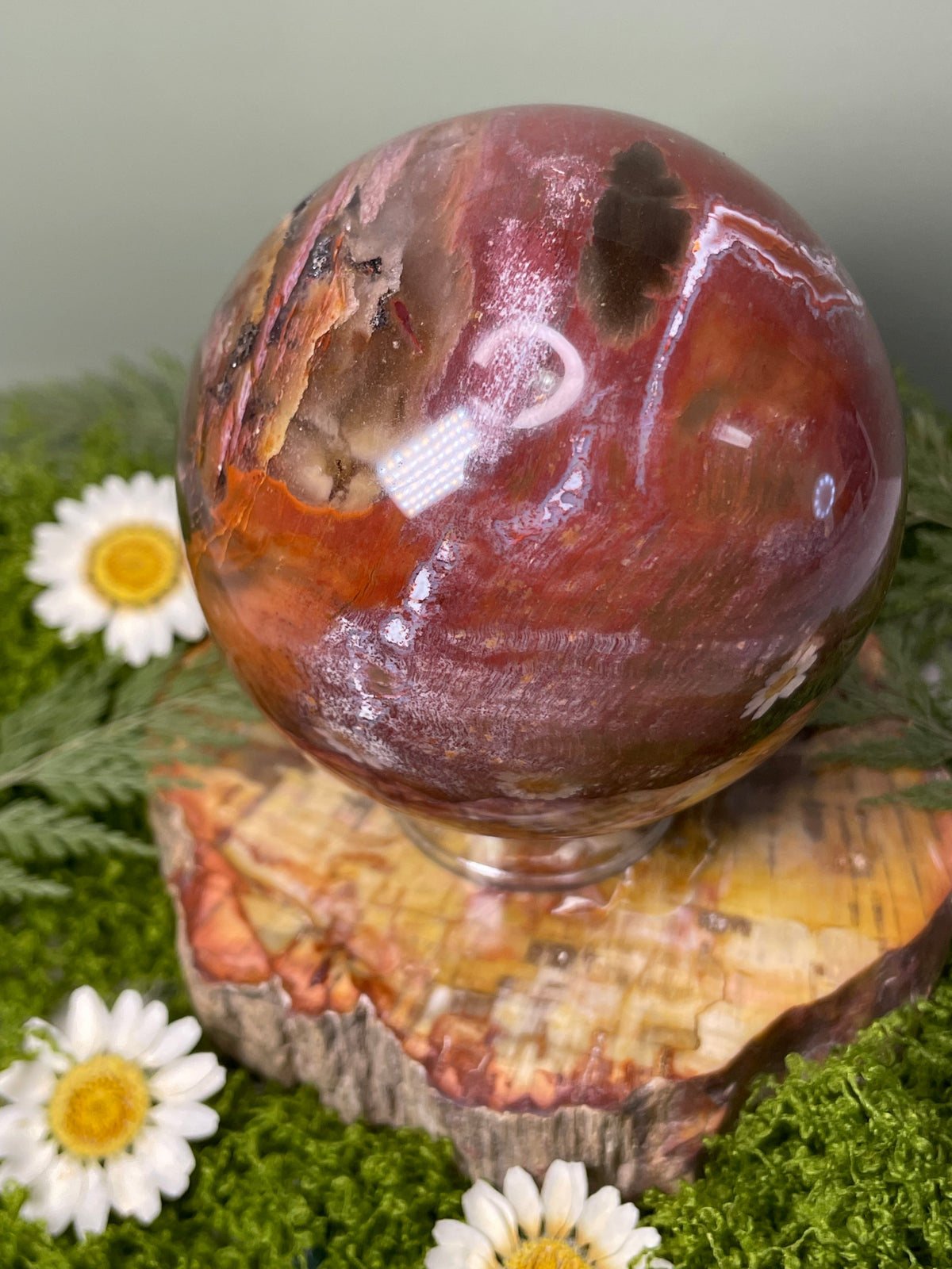 Petrified Wood Sphere