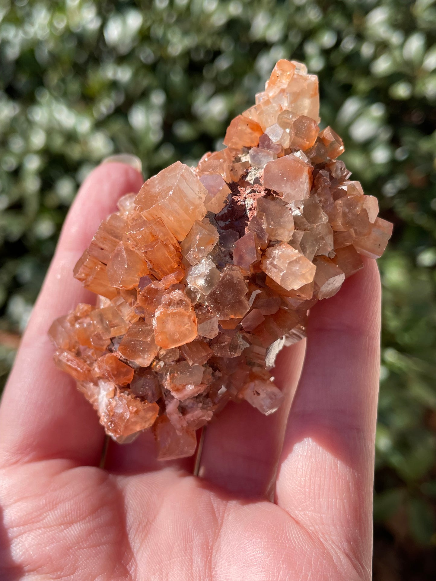 Aragonite Star Crystal Cluster