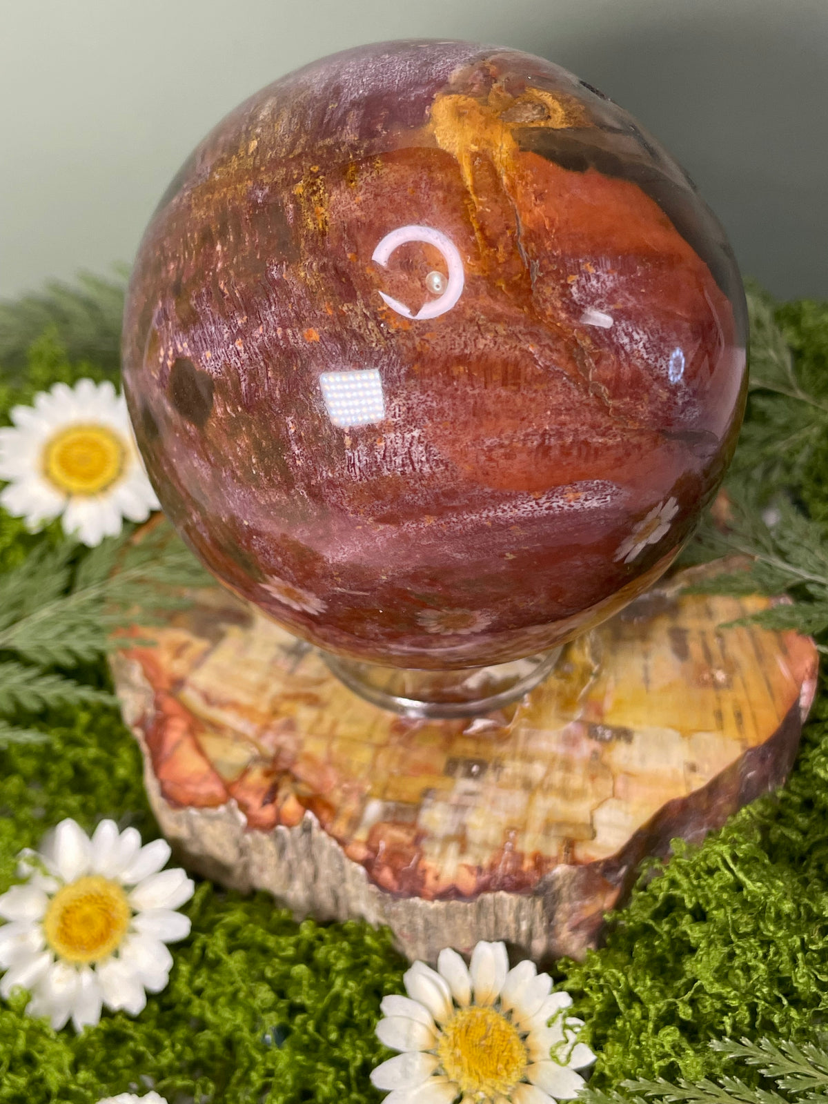 Petrified Wood Sphere