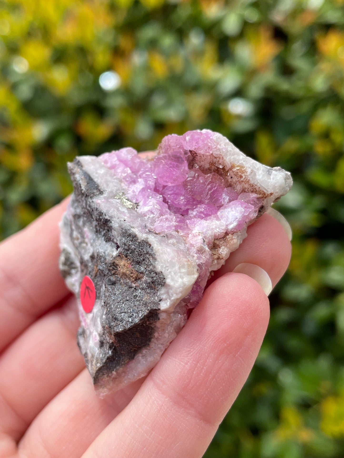 Cobaltoan Calcite Crystal Cluster
