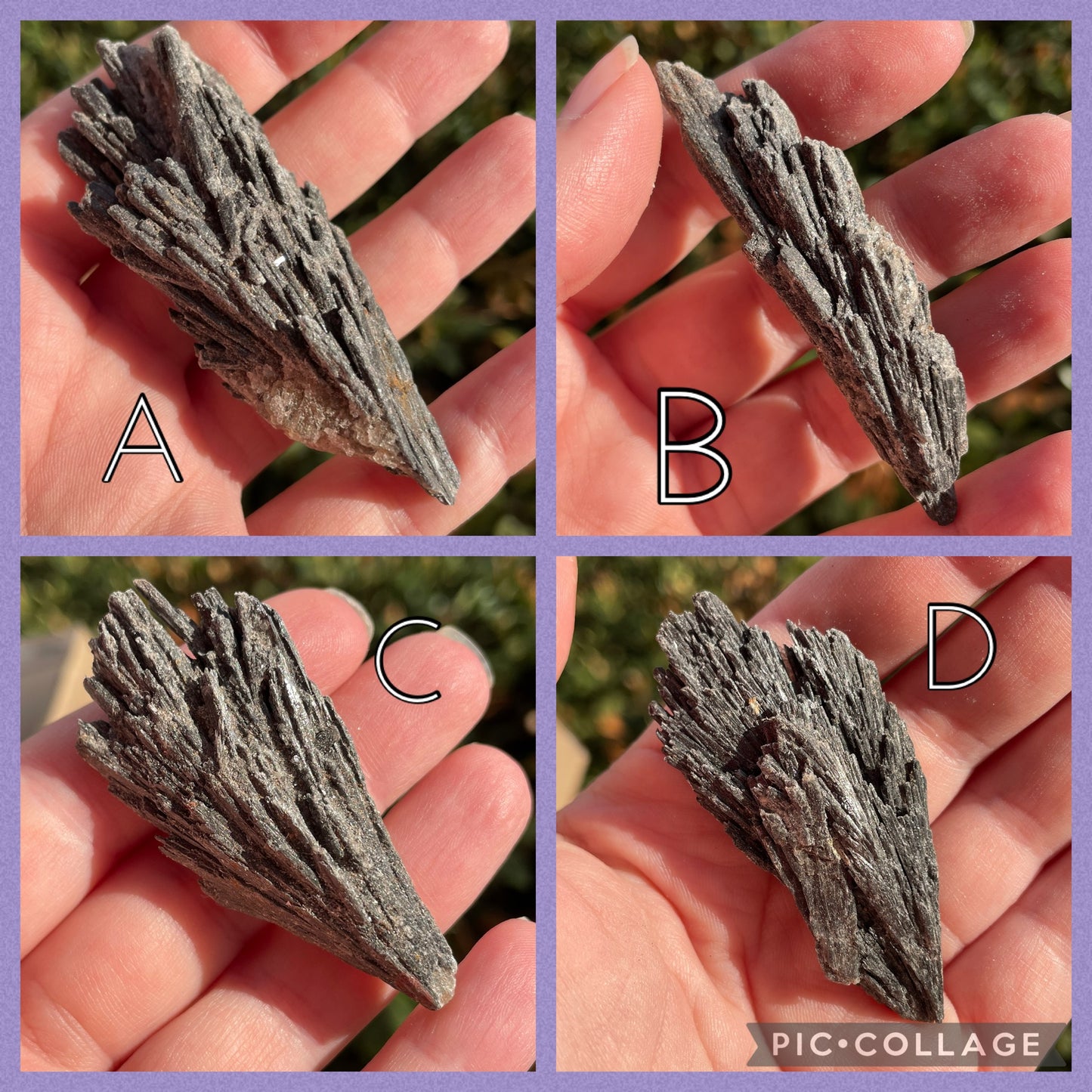 Black Kyanite Fans
