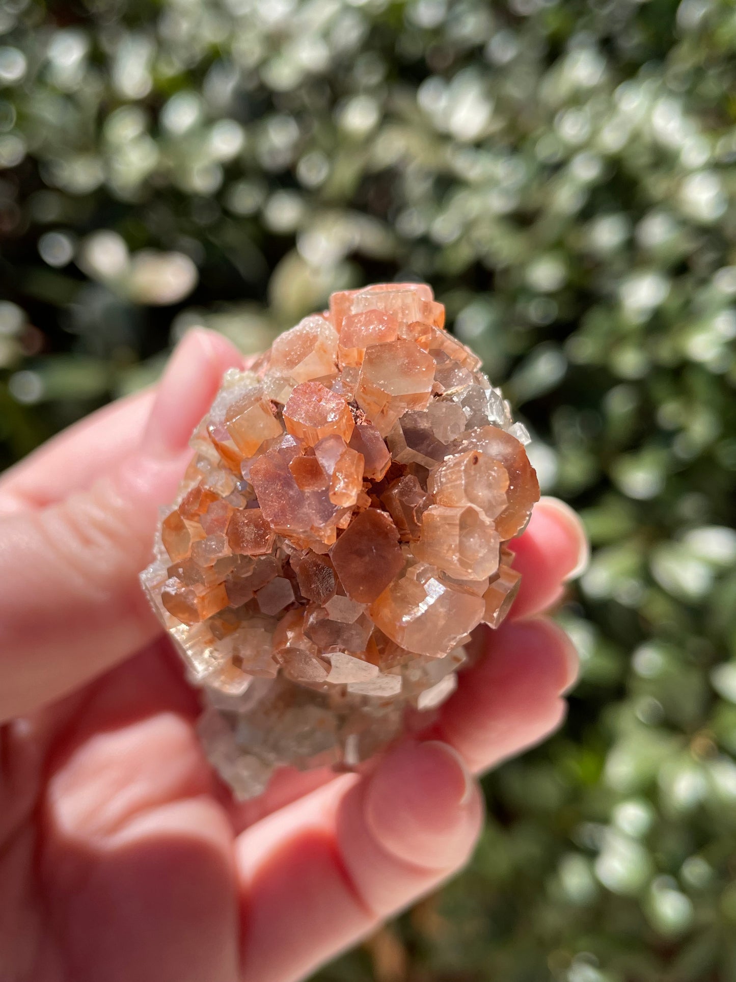 Aragonite Two Tone Crystal Cluster